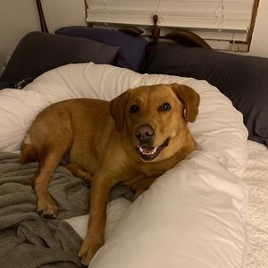 Meet your Posher, Lee